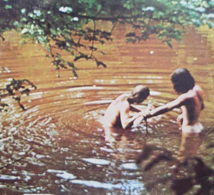 Woodstock back cover